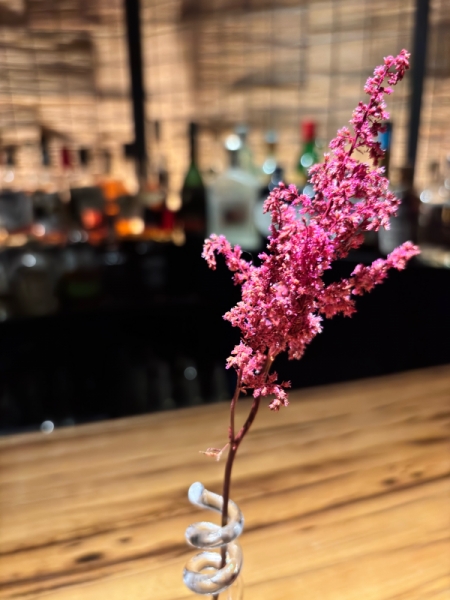 87代目のお花アスチルベ